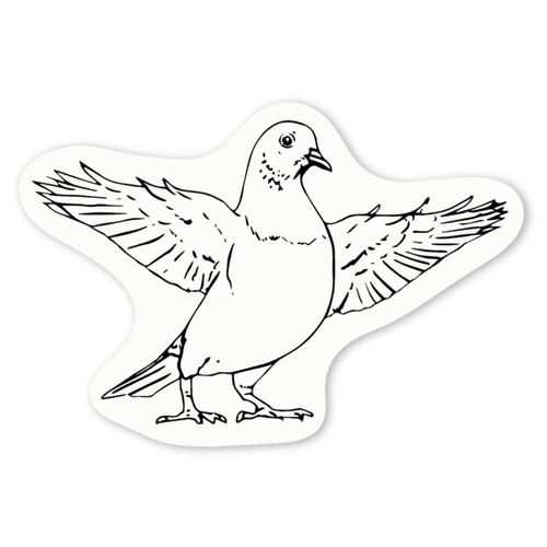 Pigeon with wings - with, spread'