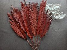 große Palmblätter Naturmaterial gefärbt Deko Basteln Konvolut