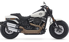 35 kW Drossel Harley Davidson