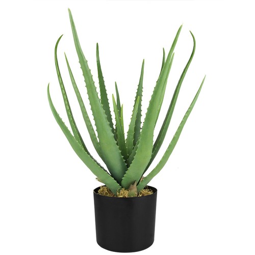 Aloe vera kunstpflanze - aloe,