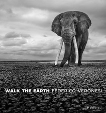 Federico veronesi walk the - walk,