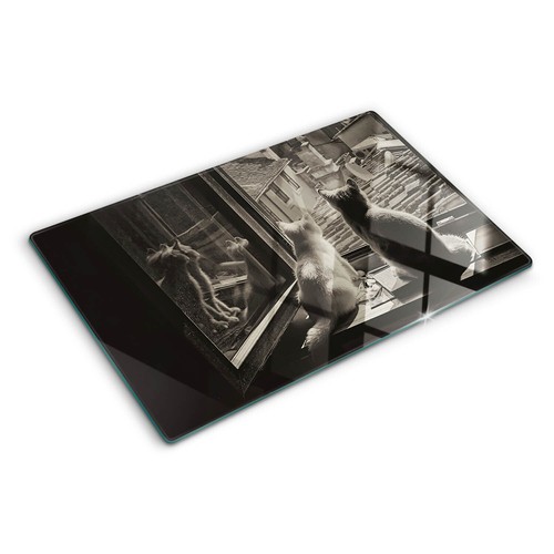Glas-Herdabdeckplatte