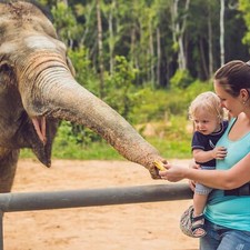 2 Tage Städtereise Köln 2