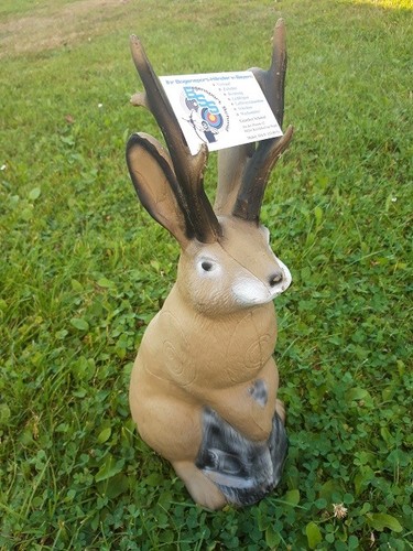 Jackalope bogenschießen - 3d,