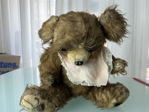 Alter sammler teddy bär - alter,