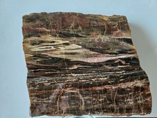 Versteinertes, verkieseltes Holz. Poliert. Scheibe ca. 1,3 cm dick. Sammlerstück