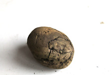 Schwemmholz Treibholz Skulptur L 6 cm Kugel Kopf Ideenwerkstatt BodenSEE