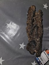 Aquarium Deko Fisch Wels Verstecke