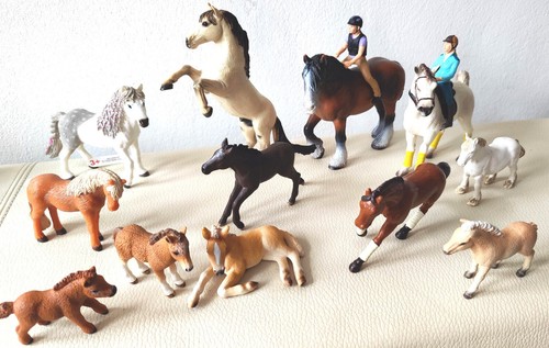 Selection horse - horse, pony