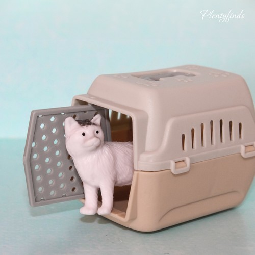 Miniatur haustier box - miniatur,