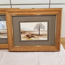 🌻Landschaftsbild im Rahmen