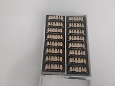 16 Zahngarnituren A3 O6 Merz