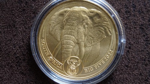 Goldmünze big five elefant - five,