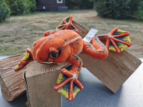 Animal alley frosch - animal,