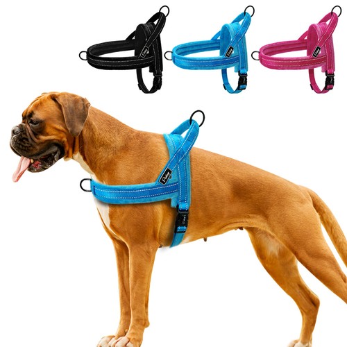 Hundegeschirr brustgeschirr - brustgeschirr, no
