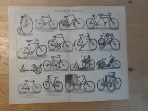 Orig holzstich fahrrad - orig.(1898),
