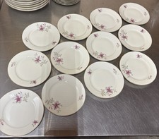 Set of 12 Rosenthal Selb