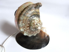 Unikat Perlmutt Muschellampe Schreibtischleuchte aus den 50ger Jahren