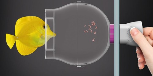 Nyos floating fish - fish,