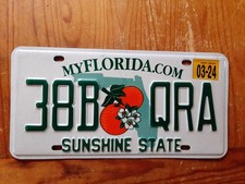 1 x Original USA Nummernschild aus FLORIDA - The Sunshine State*TOP*TOP*TOP*