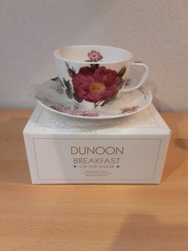 Dunoon cup and saucer - dunoon,