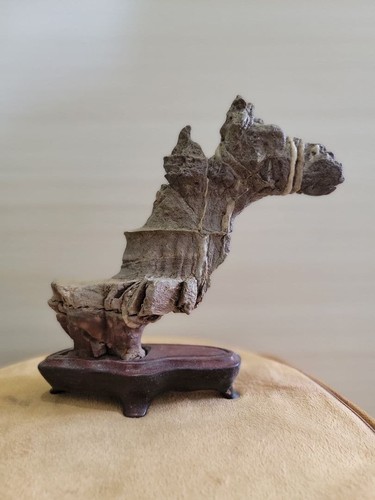 Suiseki bonseki bonsai - suiseki,