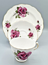 Royal Kent , England bone