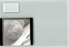 40061674 - 2850 Bremerhaven