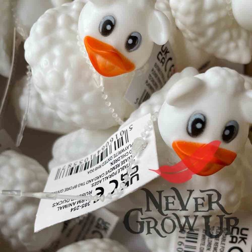 Ngu weisse schafe - [ngu🪶], enten