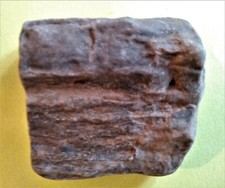 Verkieseltes holz aus der - holz,