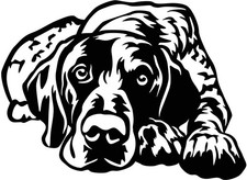 DEUTSCH KURZHAAR Aufkleber -