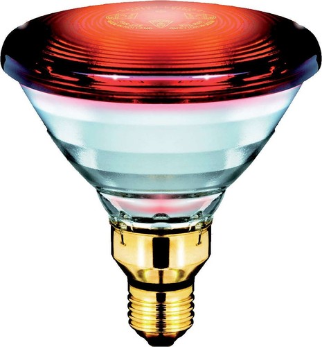 Par38 150w 230v - 230v, rot
