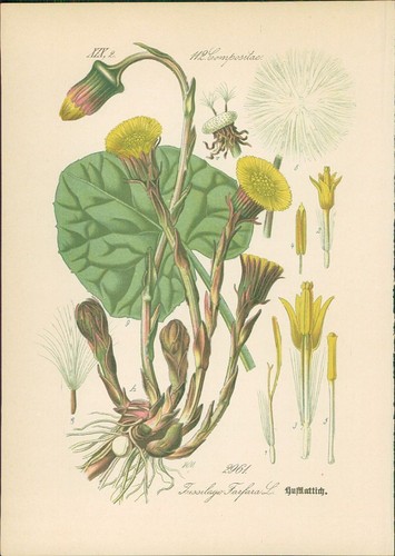 Chromolithographie - ,