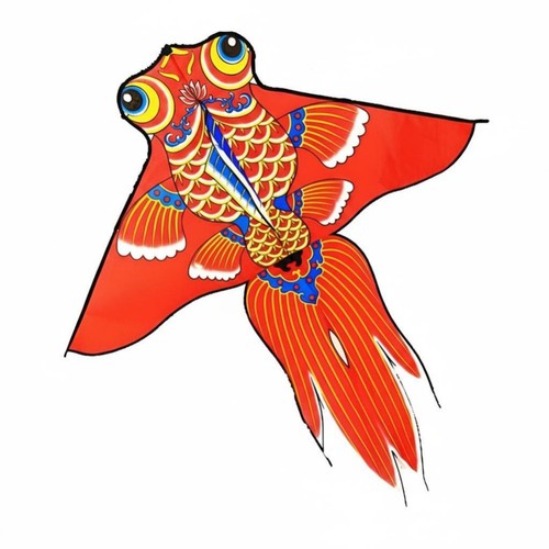 Chinesischer koi drachen - chinesischer, koi-drachen