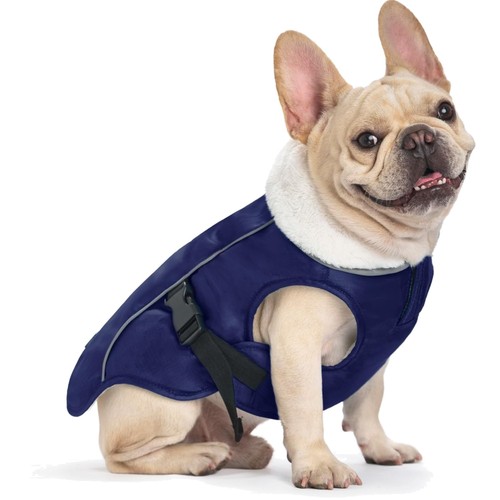 Hundemantel winddicht - hundemantel,