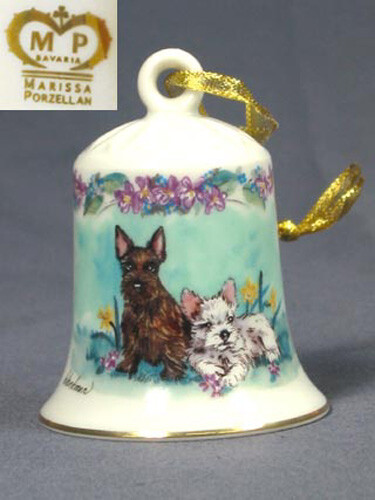 Westie scotish terrier - westie,