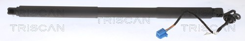 Triscan 8710 23301 - 23301, gasfeder