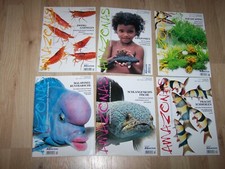 6 x Amazonas Magazin - Jahrgang 2009 kpl. - Süßwasser Aquaristik - Aquarium