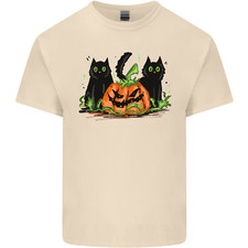 Halloween katzen mit kürbis - katzen,