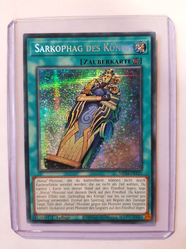 Sarkophag des königs - des,
