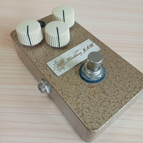 Honeyberry fender princeton - fender,