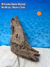 ‼️Corbo Root Nano⭐️