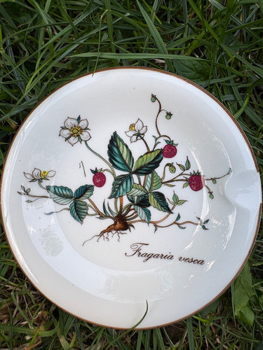 Villeroy boch b vilbofour - &,