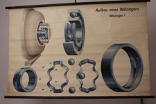 DZL Schulwandkarte Rollkarte