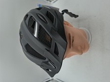 FISCHER Urban Levin