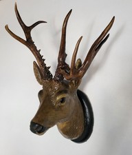 Abnormer sibirischer rehbock - abnormer,