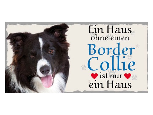 Türschild border collie - türschild,