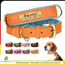Personalisiertes Leder Hundehalsband mit Gravur, Name und Tel., Komfort & Stil