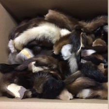 Nerz Schweife 10 Stück Farbe