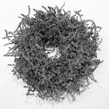 Kranz Naturkranz Asparagus